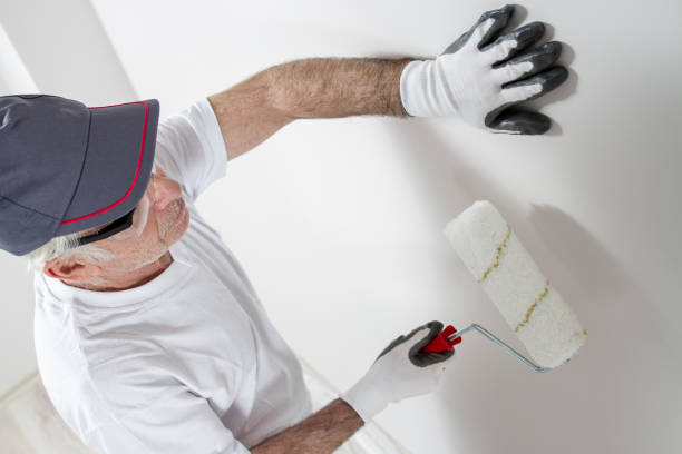 Best Crawl Space Mold Remediation  in Linden, AZ