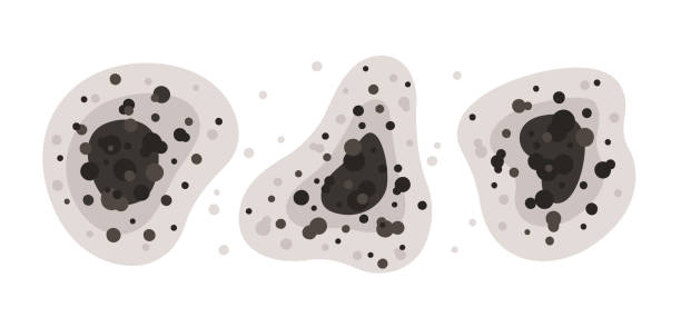 Best Air Quality Testing for Mold Spores  in Linden, AZ