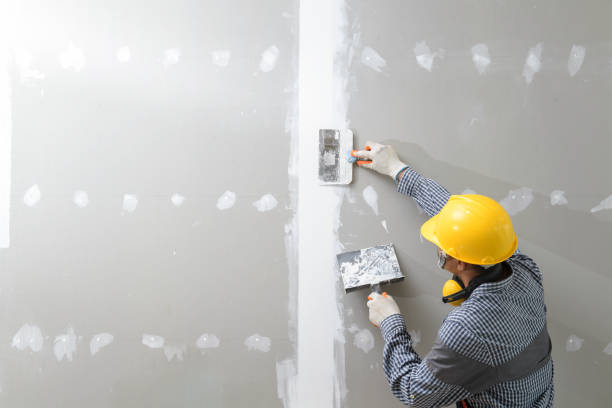 Best Real Estate Mold Inspection  in Linden, AZ