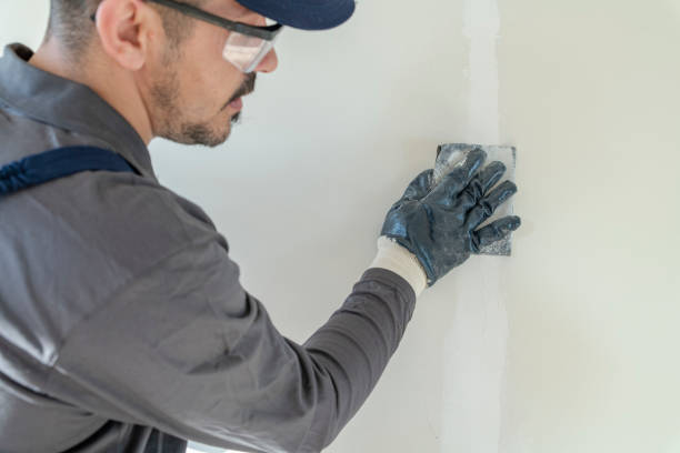 Best Attic Mold Removal  in Linden, AZ