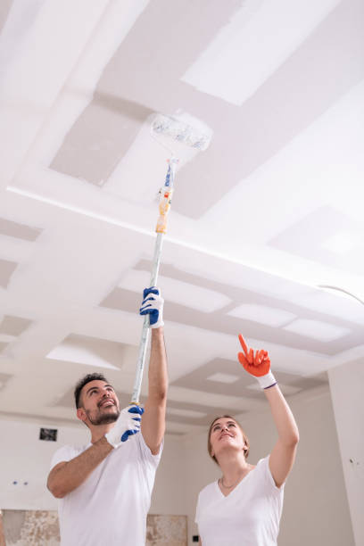 Best Mold Odor Removal Services  in Linden, AZ