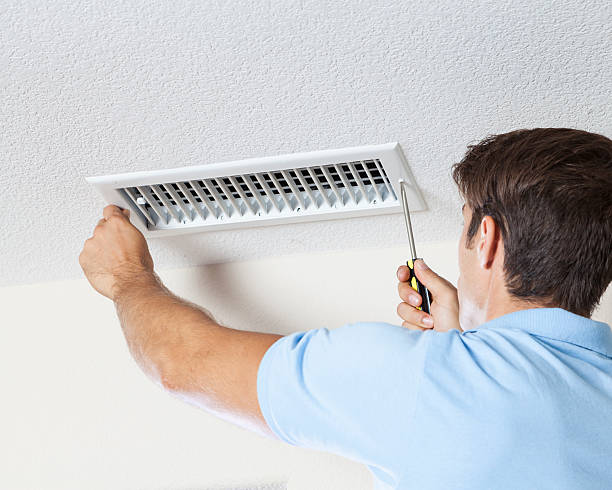Best Dehumidification Services  in Linden, AZ